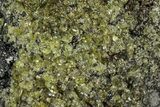 Peridot Crystals in Basalt - Arizona #340229-1